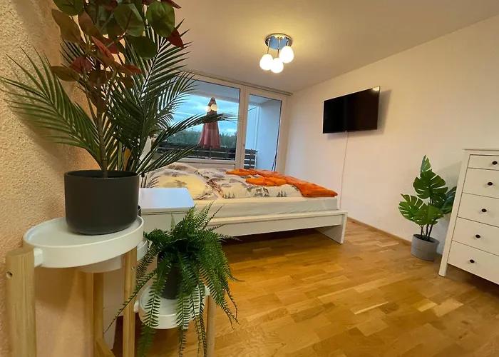 Ferienwohnung In Freudenstadt-Kniebis III