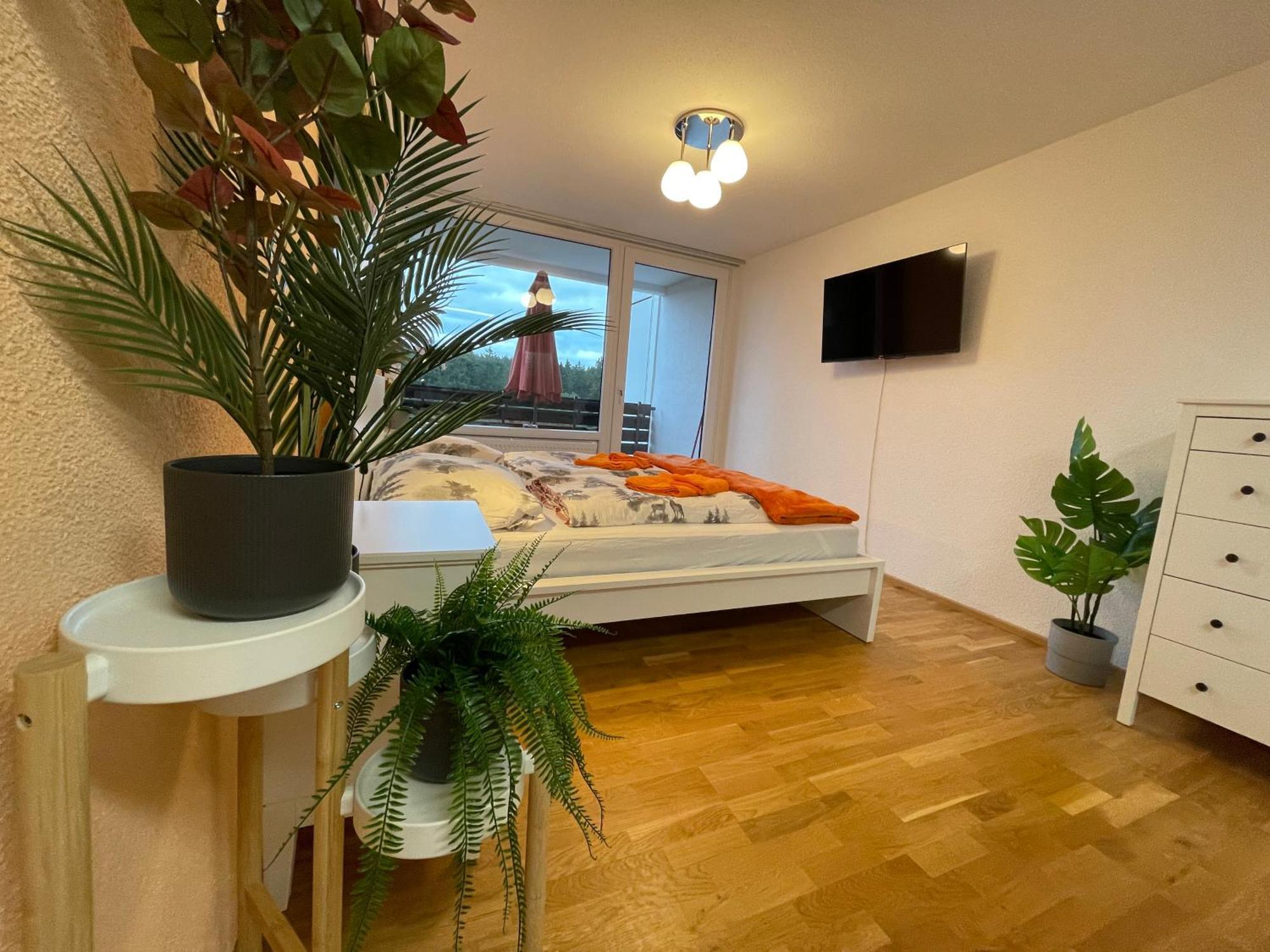 In Freudenstadt-kniebis Iii Apartment Freudenstadt